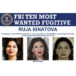 Ружа-Игнатова-е-жива-убеден-е-началникът-на-отдел-Издирване-в-столичната-полиция