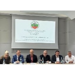 Опитът-на-румънските-ЧСИ-Доброволното-събиране-на-дългове-като-мярка-срещу-кризата