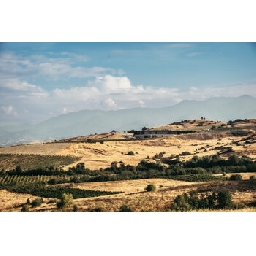 Винарната-AYA-Estate-бе-отличена-от-световна-класация